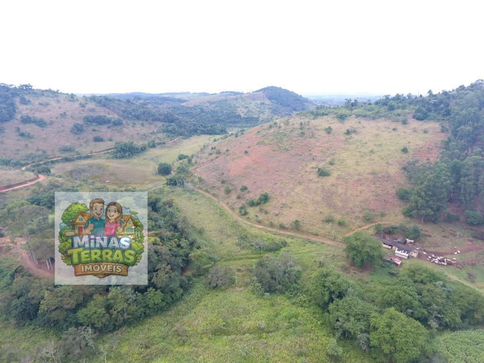 Fazenda 95 hectares — entre Piau e Goianá — foto 2