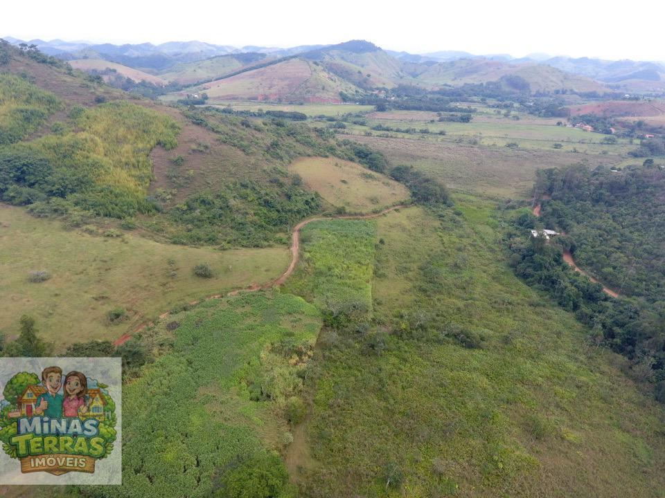Fazenda 95 hectares — entre Piau e Goianá — foto 5