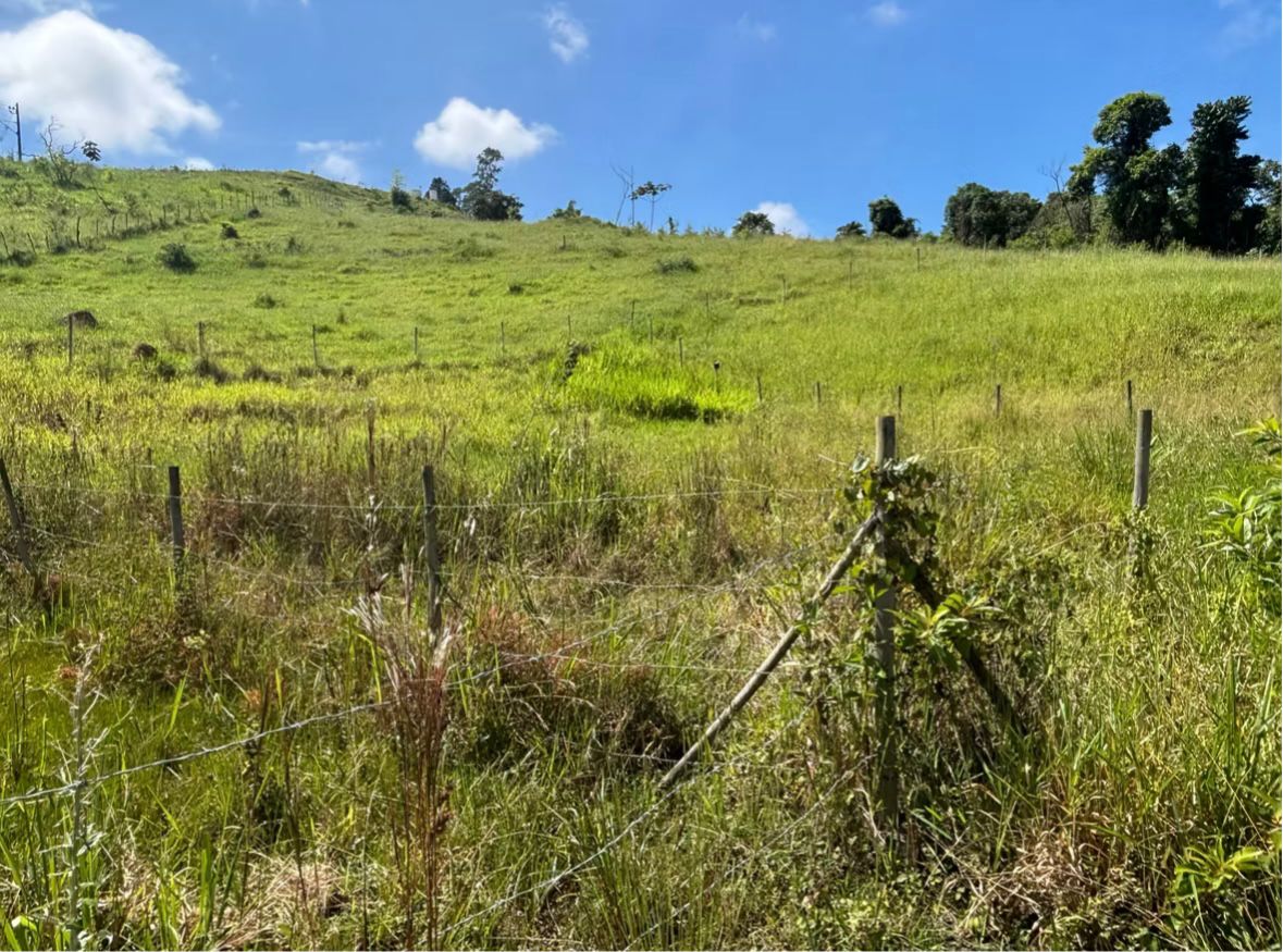 Lote à venda: Lotes no Loteamento São Luís — Filgueiras (200 m²) em Loteamento São Luís, Filgueiras, MG