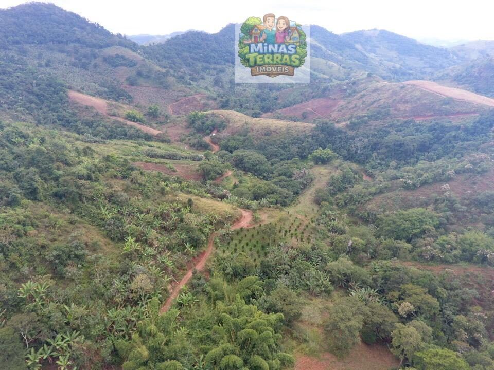 Sítio em Piau — 43 hectares com muita água — foto 4