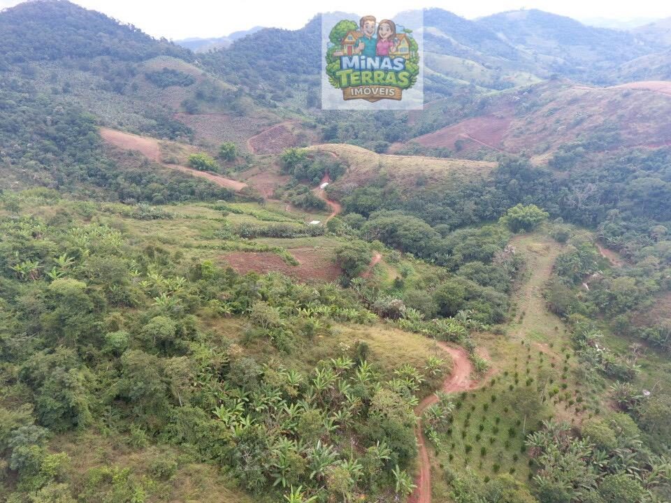 Sítio em Piau — 43 hectares com muita água — foto 5