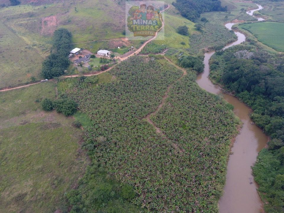 Sítio em Piau — 31,9 hectares com indústria de banana — foto 5