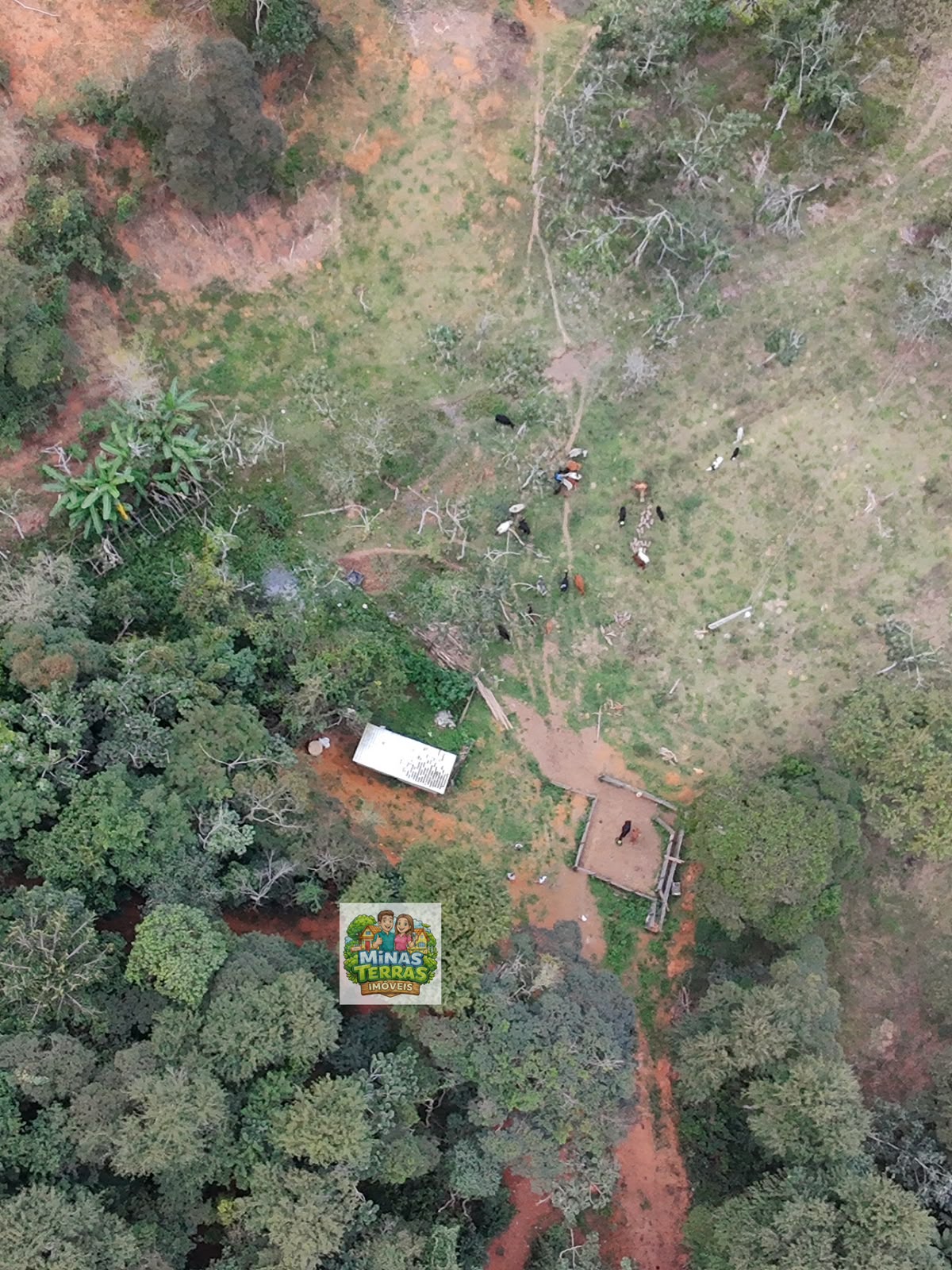 Sítio à venda: Sítio próximo à ponte de Piau — 14 hectares em Piau, MG