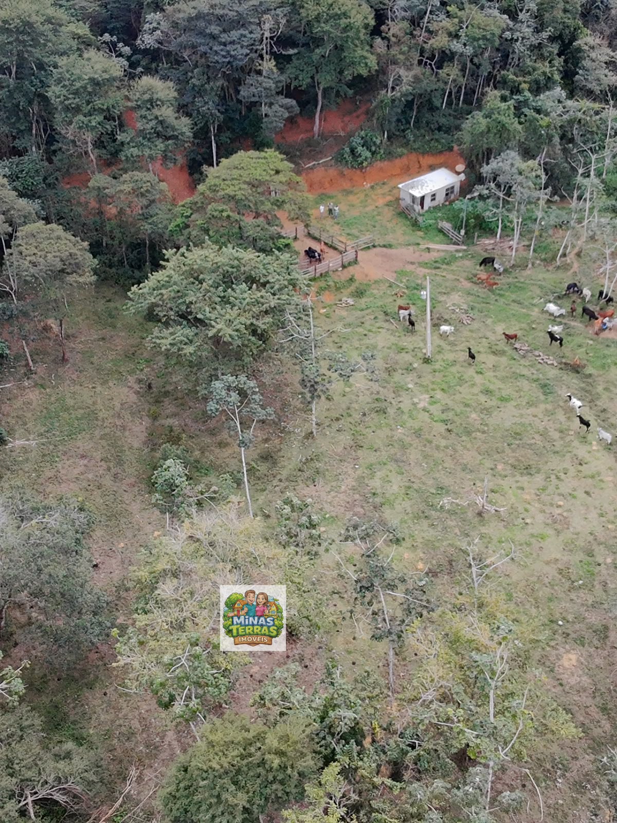 Sítio próximo à ponte de Piau — 14 hectares — foto 2