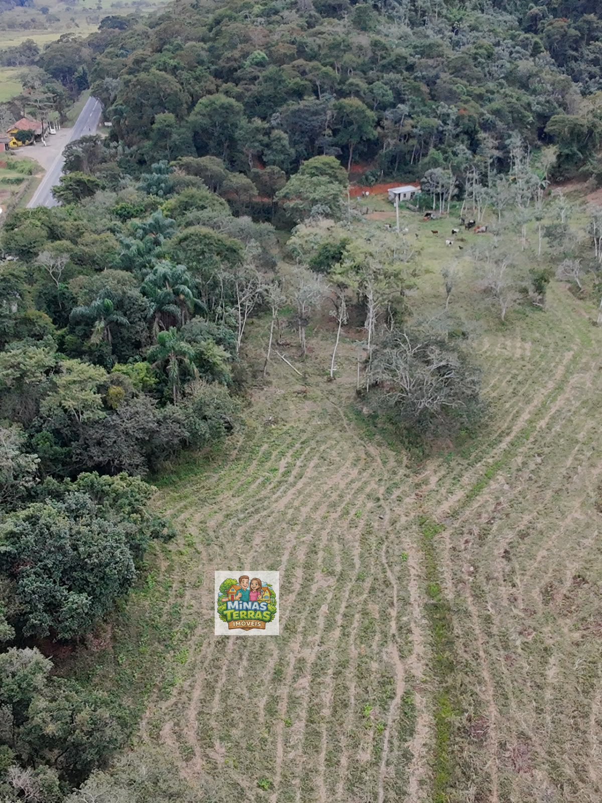 Sítio próximo à ponte de Piau — 14 hectares — foto 4