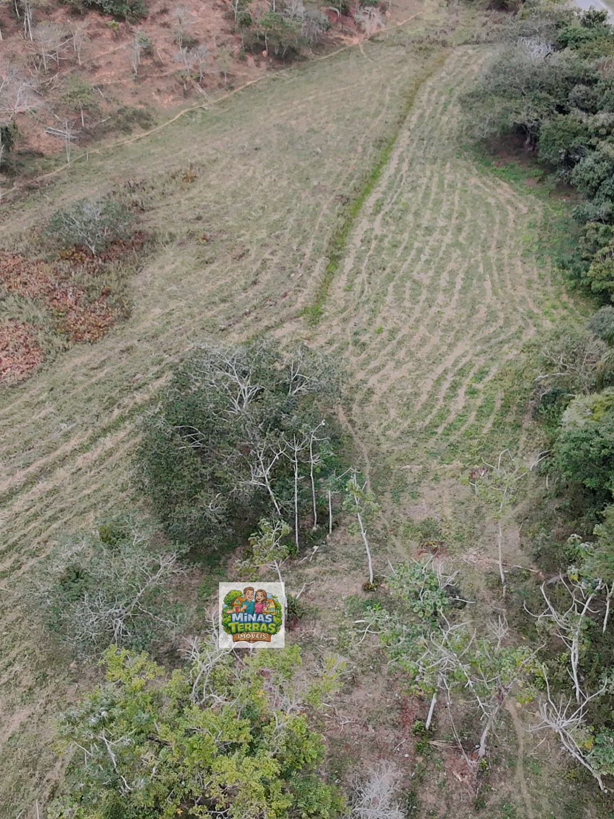 Sítio próximo à ponte de Piau — 14 hectares — foto 5
