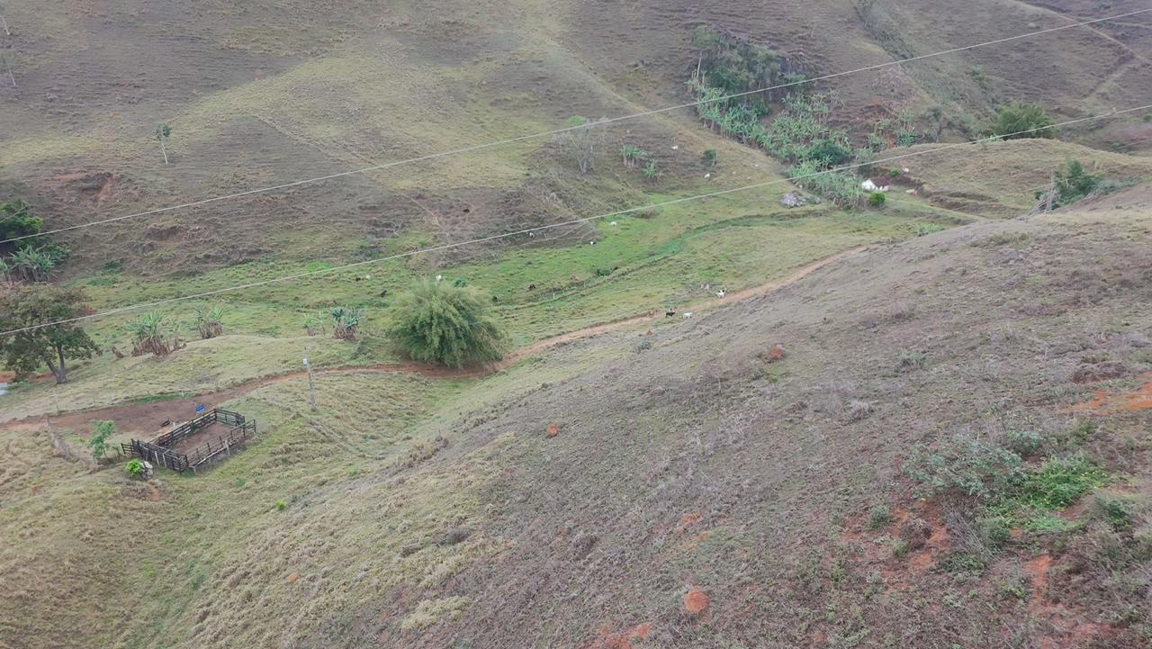Sítio em Triqueda — Coronel Pacheco — foto 4